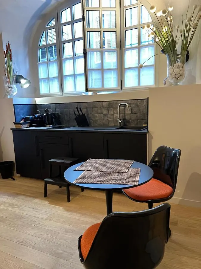 Apartman Lucas II Appartement 35 M2 Hotel Particulier XVII Ieme Siecle Centre Historique Clermont-Ferrand Cathedrale